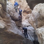 מאיר פרץ's photo
