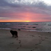 Beth Eggleston Gruizinga's photo