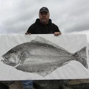 Joe Higgins's photo