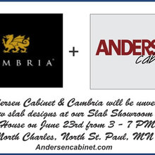 andersen_cabinet's ideas