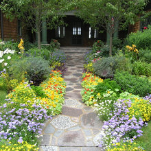 our garden