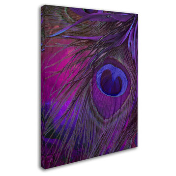 Color Bakery 'Peacock Candy IV' Canvas Art, 24"x32"