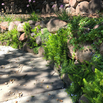 Hillside Backyard Transformation