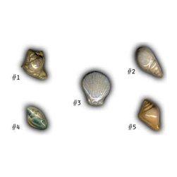 1.5" Small Shells - Mosaic Tile
