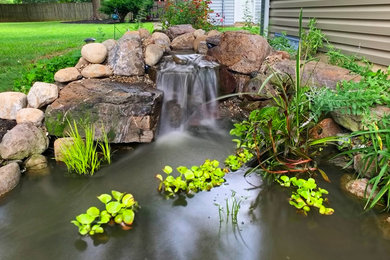 Photo of a landscaping in Other.