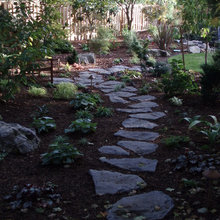Yard Ideas