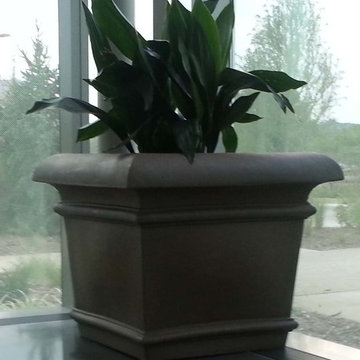 Indoor Planters