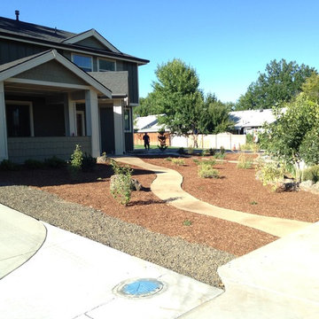 Xeric & Native Landscape, Sandstone Planter, Sandstone Path