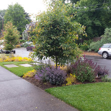 Landscape Ideas