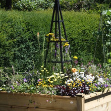 Landscape Ideas