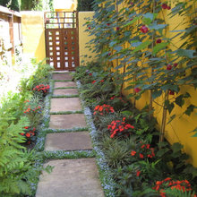 Ideas de rolando_serranoruiz