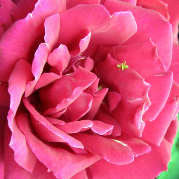 The Beauty of Mother Nature
