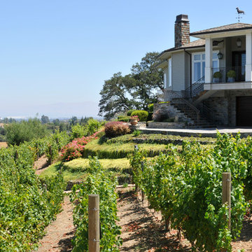 Residiential private vineyards designed, constructed, installed and managed