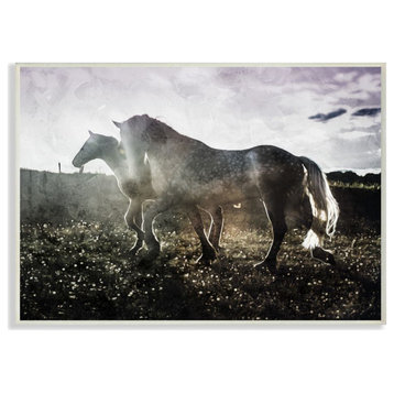 Horses Together Abstract Silhouette Animal Photograph, 13"x19"