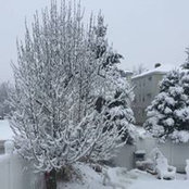 Raquel Nunez's photo