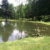 Danielle Deal's photo