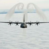 Michael Wood's photo