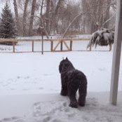 Beth Leabch's photo