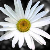Jenny Busto's photo