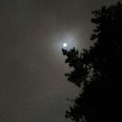 Gayla Keesee's photo