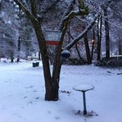 Foto von Odalys Lobo