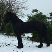 Géraldine Bdrs billede