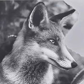 Zelda Mauger's photo