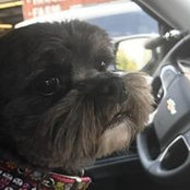 Elizabeth Crooke's photo