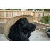 Cindy Andres's photo