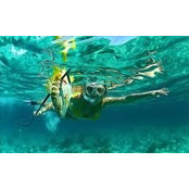 Mari Netto's photo