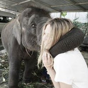Natalie Kalkowski's photo