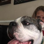 Jessica Daugherty's photo