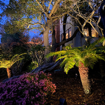 Berkley Hills lighting project