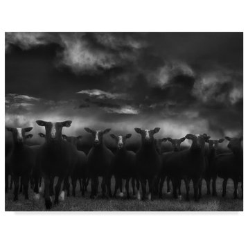 Yvette Depaepe 'Looking For A Shelter' Canvas Art, 24"x18"