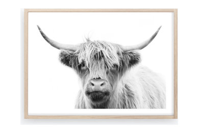 Monochrome Highland Cow Art Print