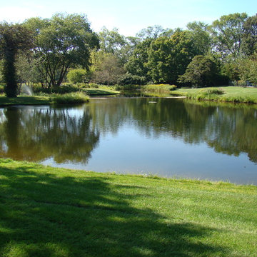Estate Pond