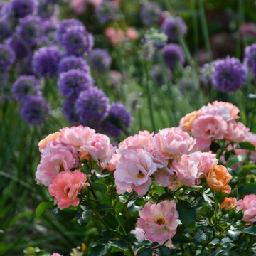 Create a meditation garden