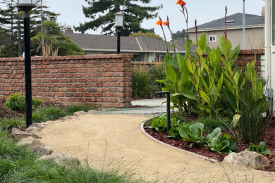 Ejemplo de jardín de secano contemporáneo de tamaño medio en verano en patio con camino de entrada, exposición total al sol y granito descompuesto