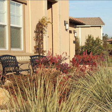 Arresting Dunes - Coastal Gem Garden