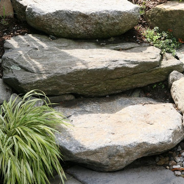 Arlington Oasis