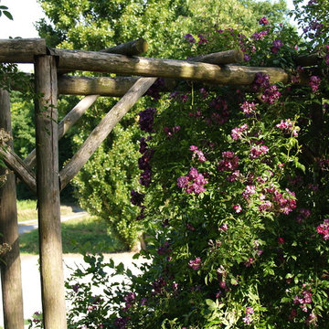 Jardin de Roses