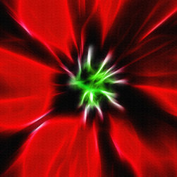 Poinsettia Abstract - Artwork