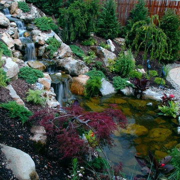 Attracting Wildlife In Backyards