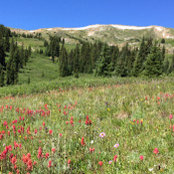 Greg G's photo