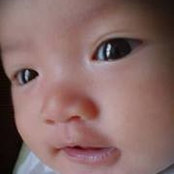 Dennis D'menaceさんの写真