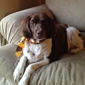 Mary Valente's photo