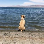 Palmer Hagen's photo