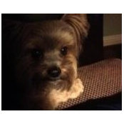 Lydia Couch's photo