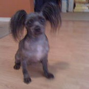 Darlene Lewendon's photo