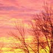 Kari Stonecipher's photo